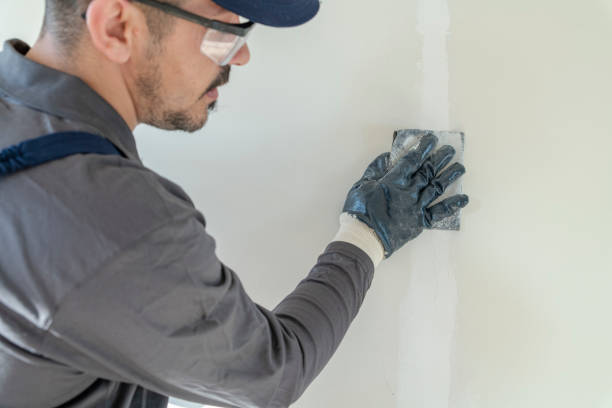 Best Mold Remediation for Vacation Homes  in Jena, LA