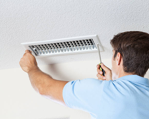 Best Environmental Consulting for Mold Prevention  in Jena, LA